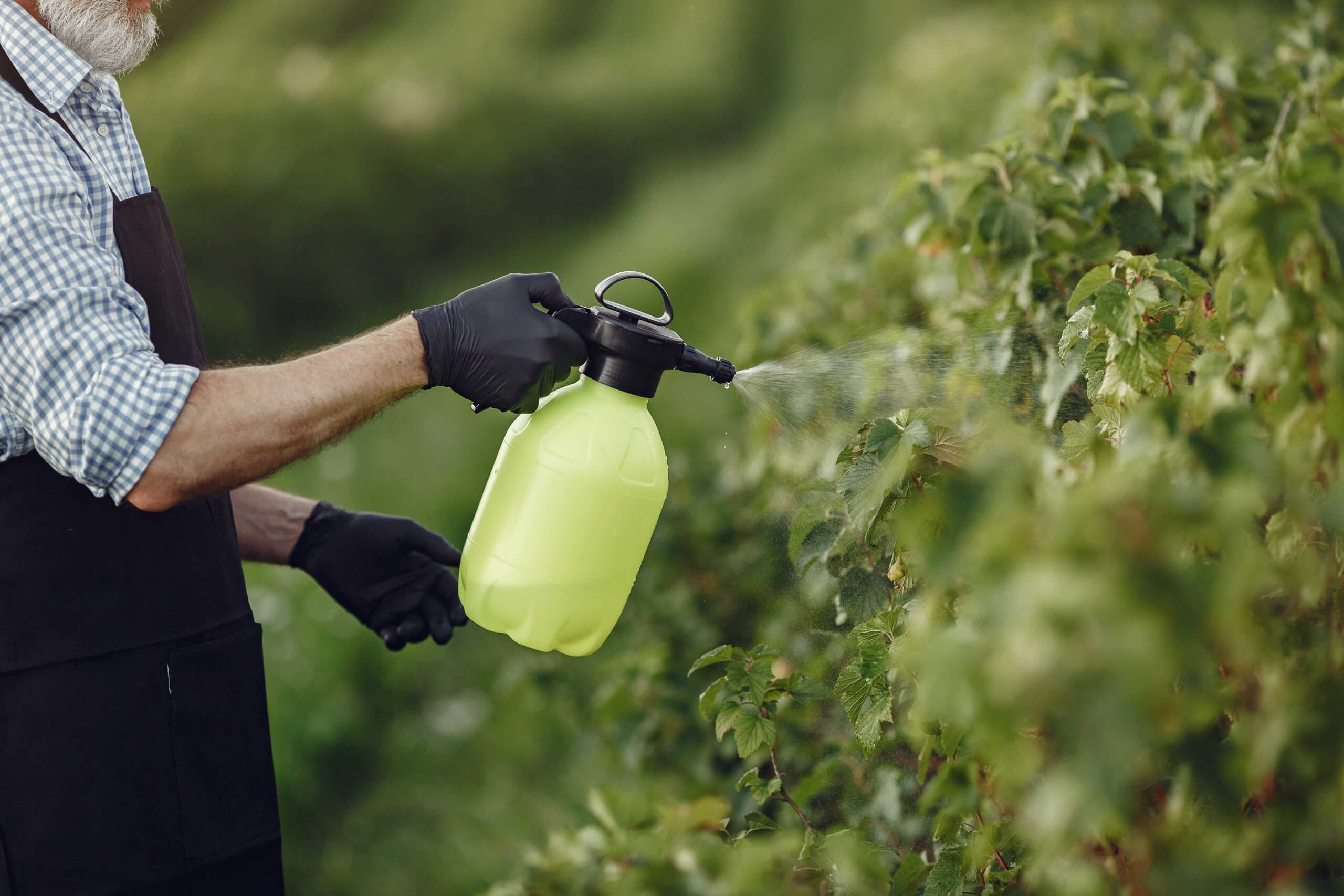 Insecticides