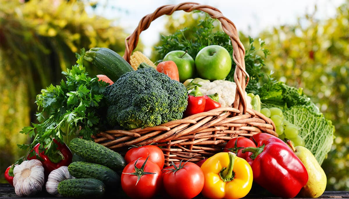 Fresh Food: Our Speciality